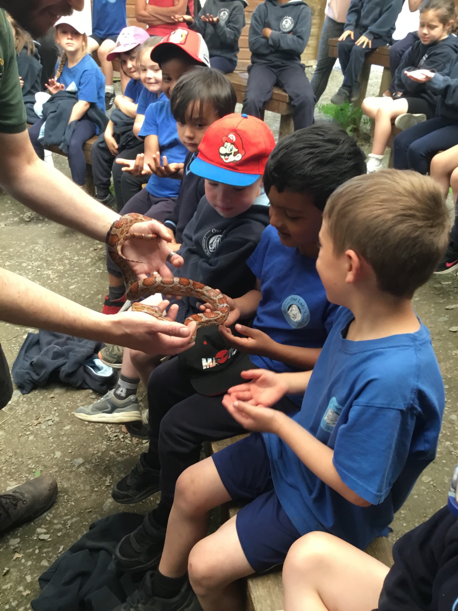 Exmoor Zoo Trip