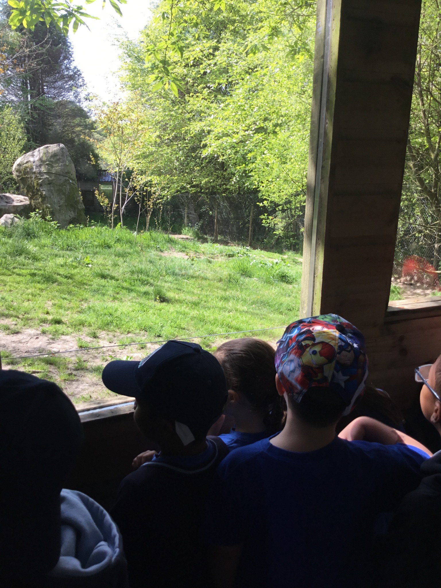 Exmoor Zoo Trip