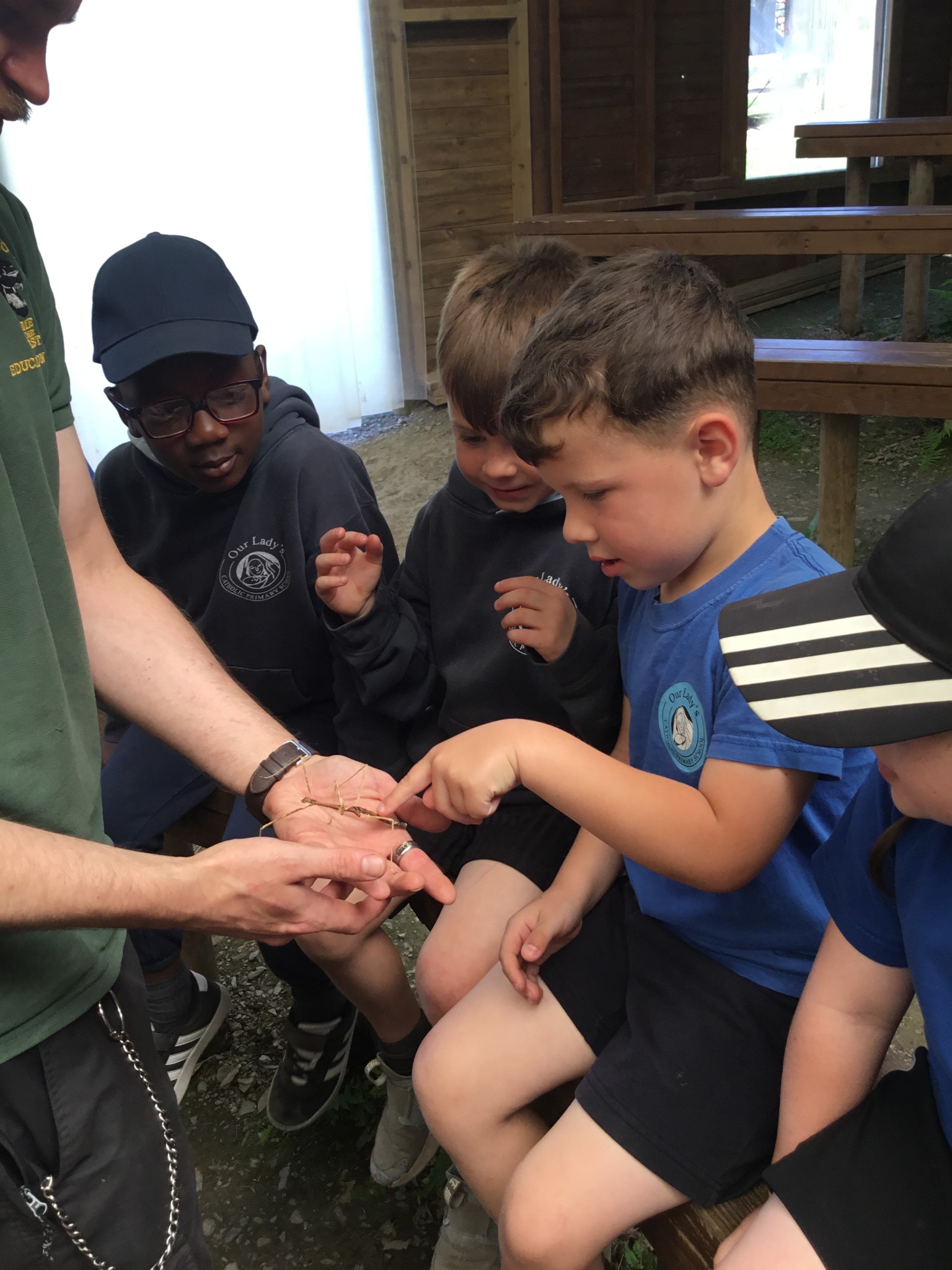 Exmoor Zoo Trip