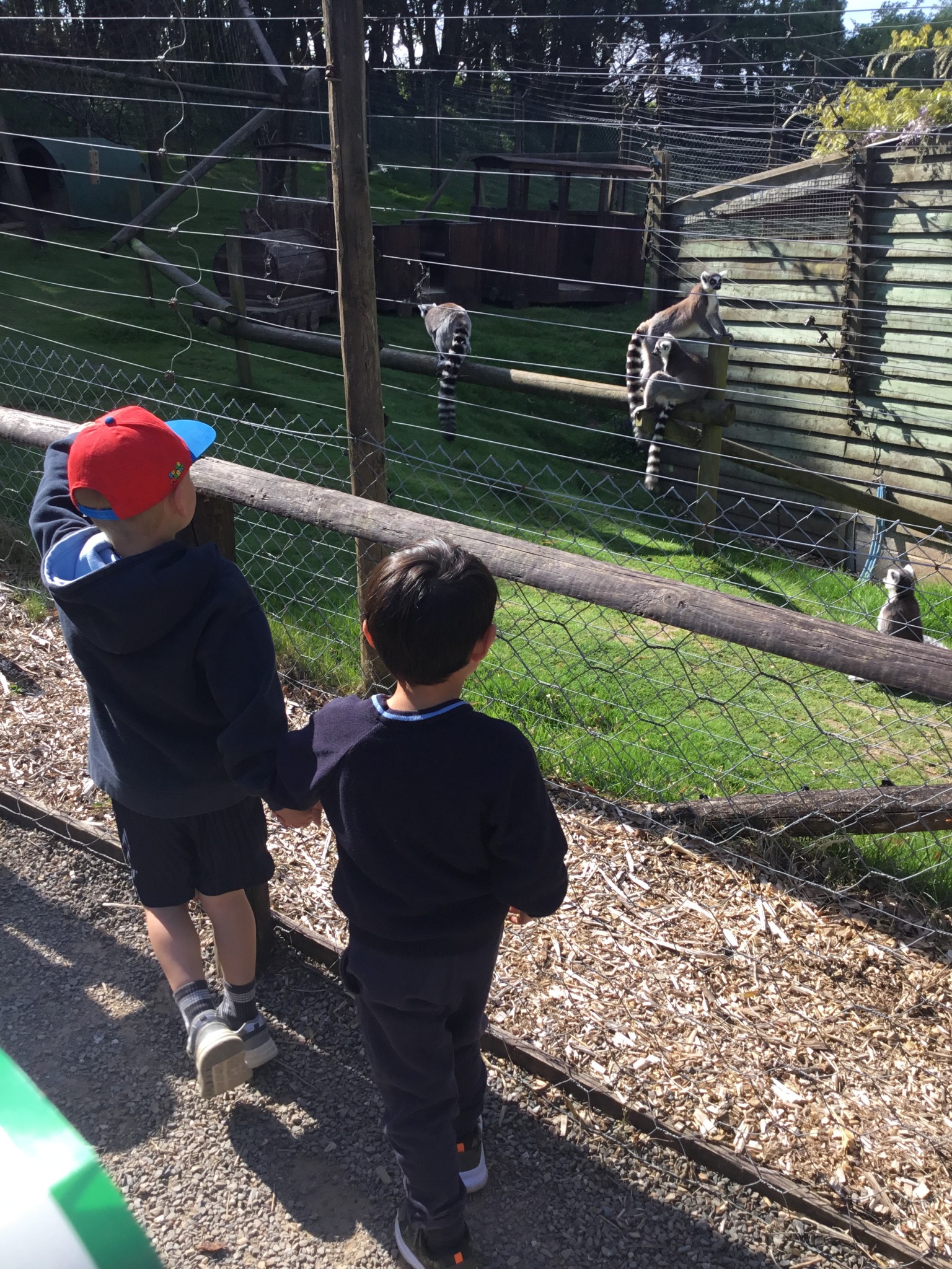 Exmoor Zoo Trip