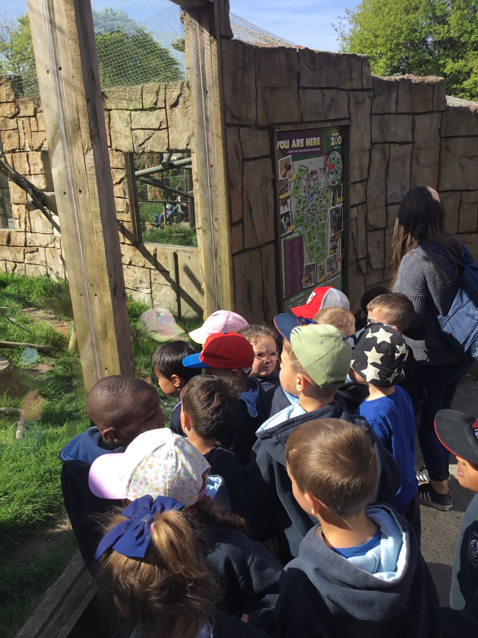Exmoor Zoo Trip