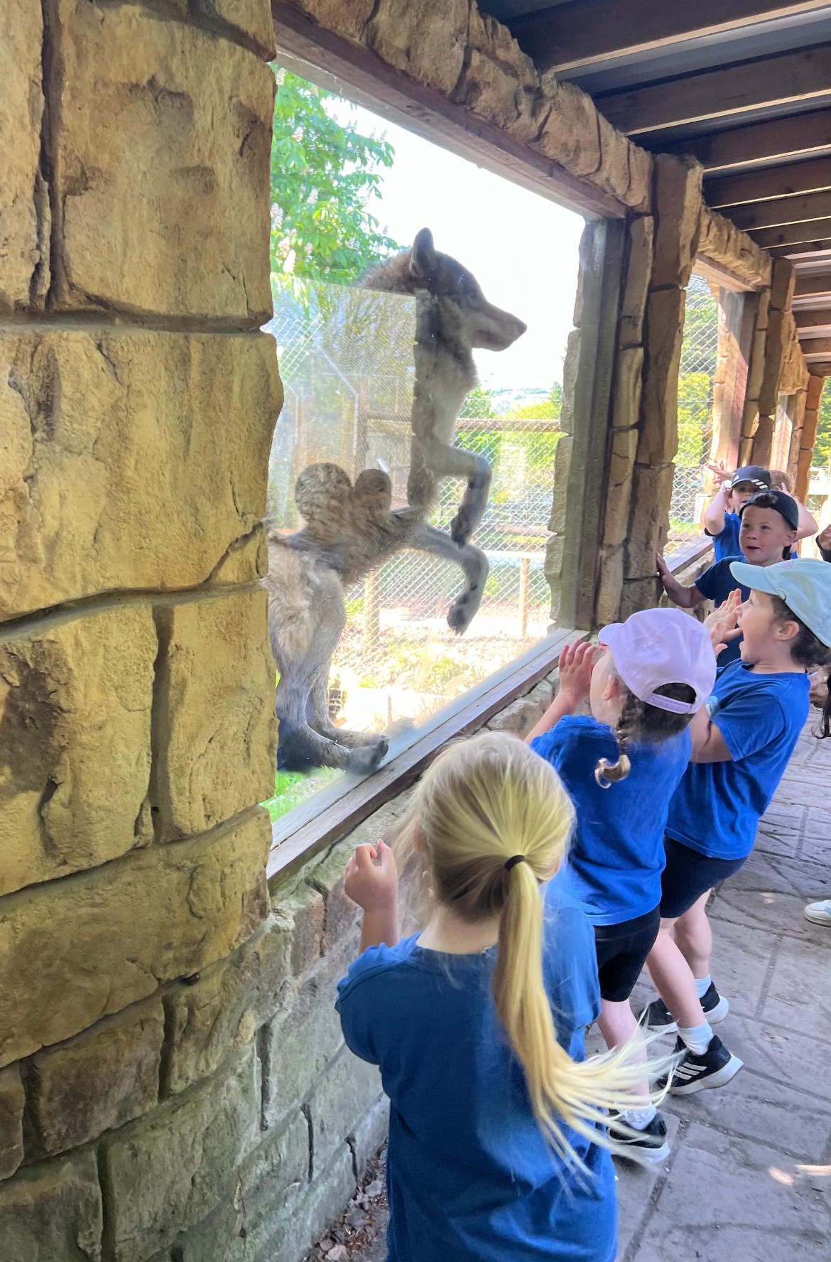 Exmoor Zoo Trip