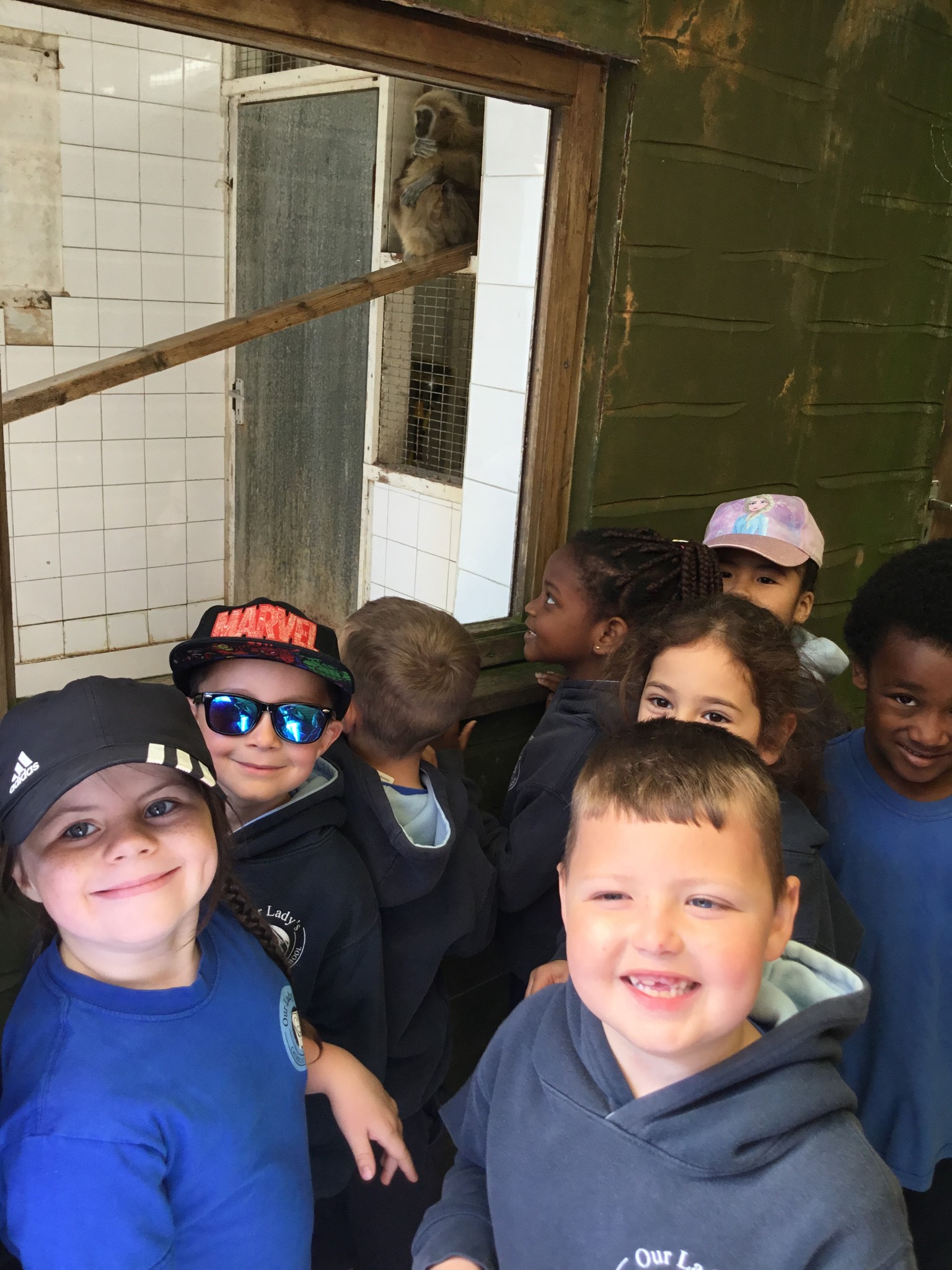 Exmoor Zoo Trip