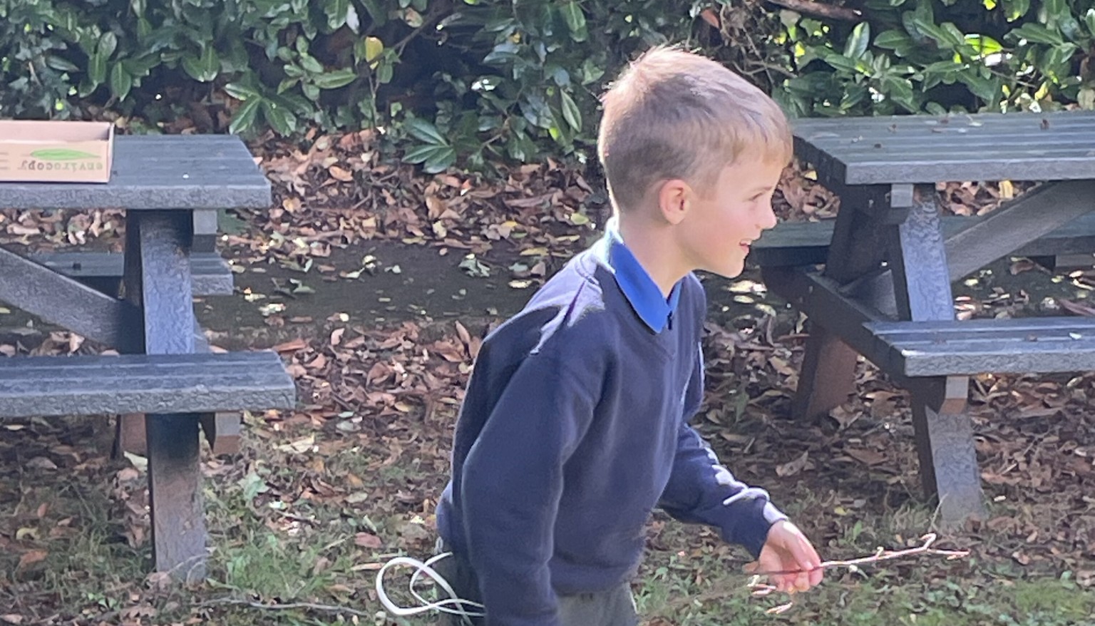 Making the most of some autumn sunshine.