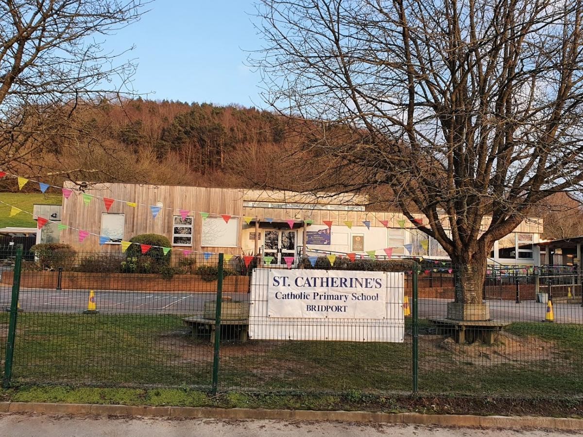 St Catherine's Roman Catholic School photo
