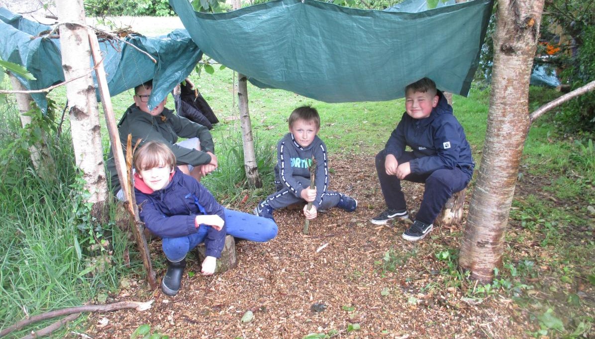 Den building