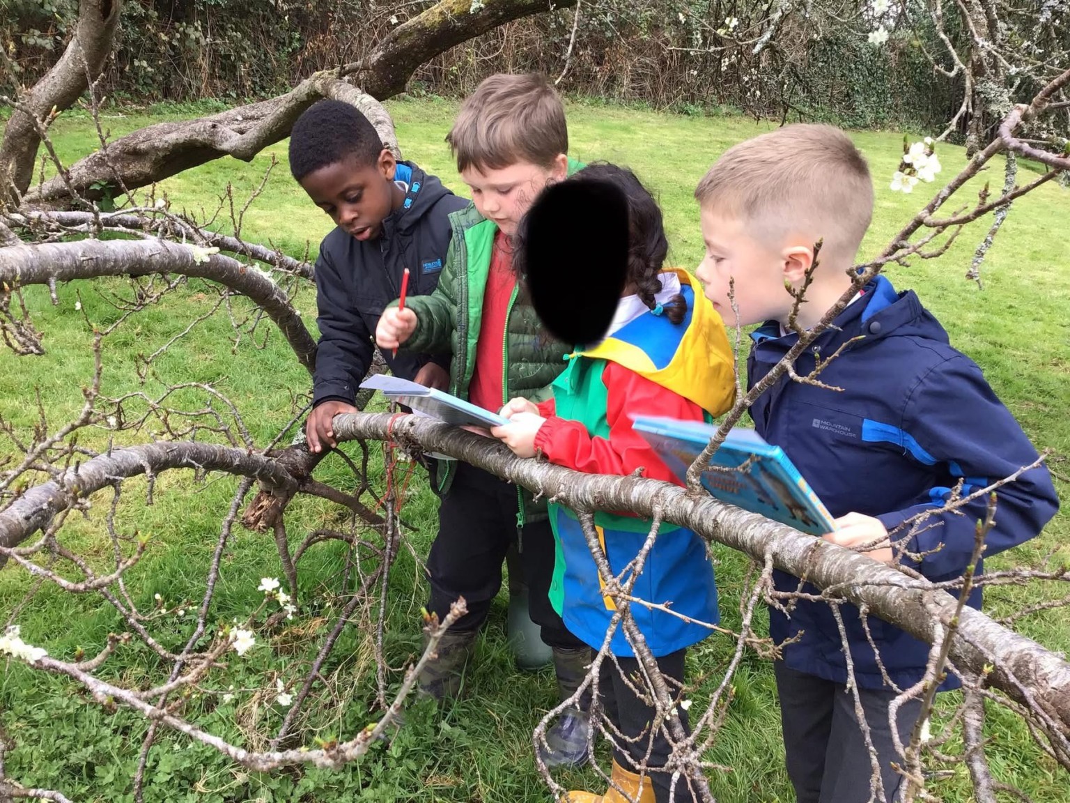 Cafod