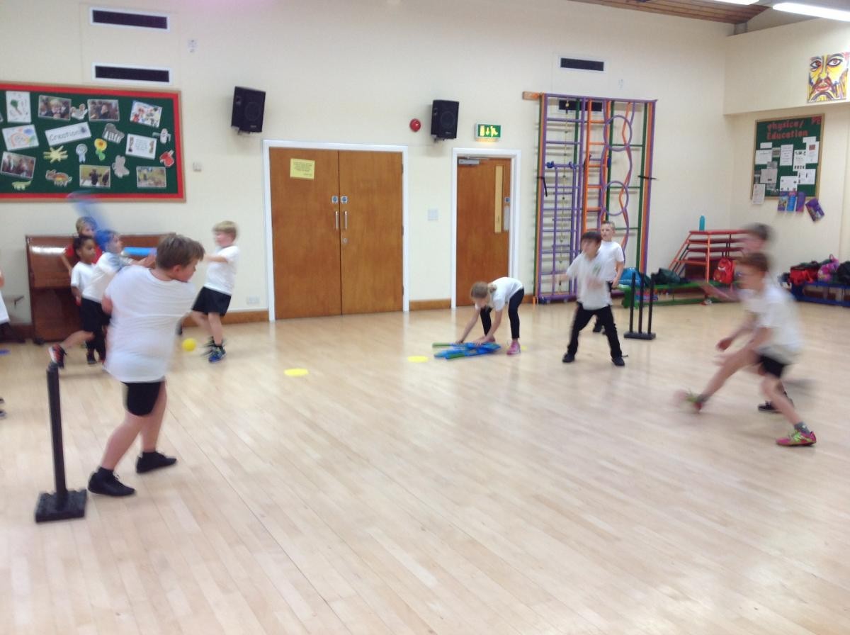 Cricket action