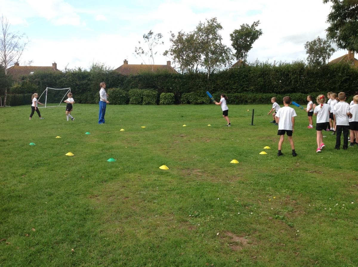 Bats - practicing fielding and batting
