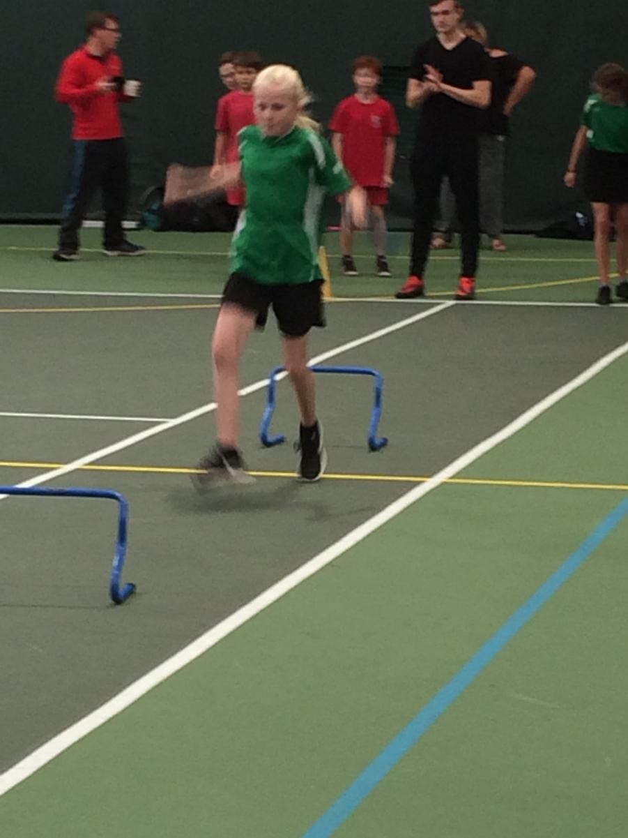 Relay Hurdle
