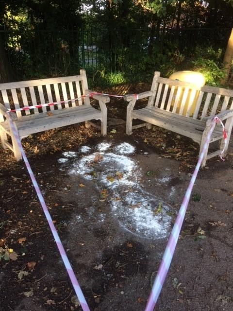 A giant came to visit!