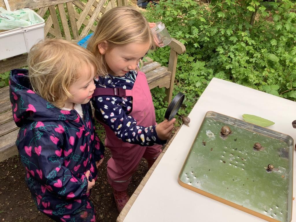 Investigating and observing