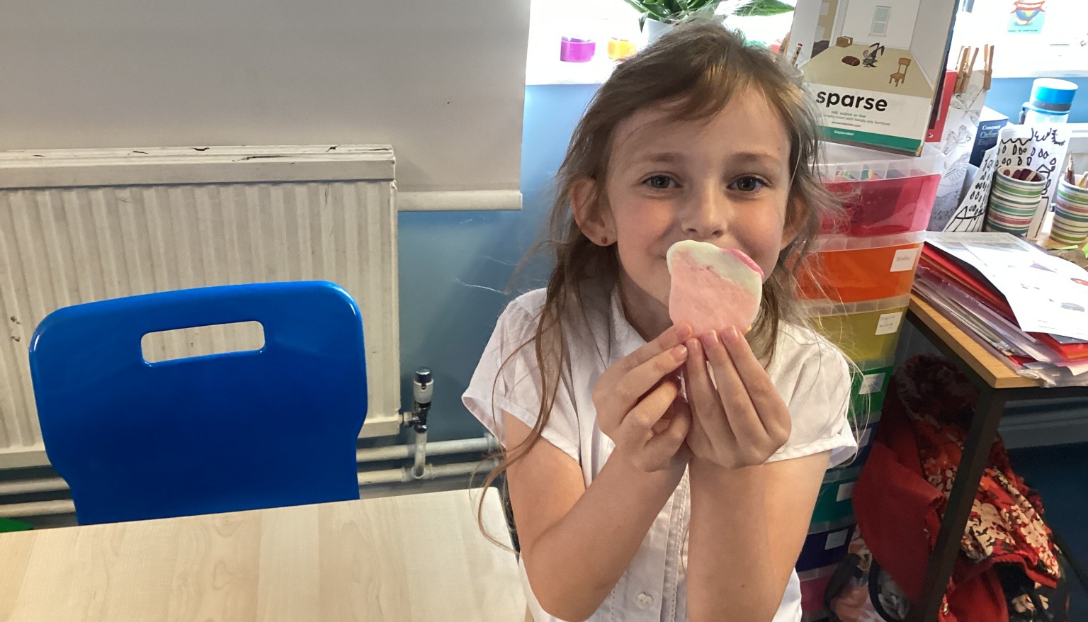 Science - making sedimentary, igneous and metamorphic edilbe 'rocks'