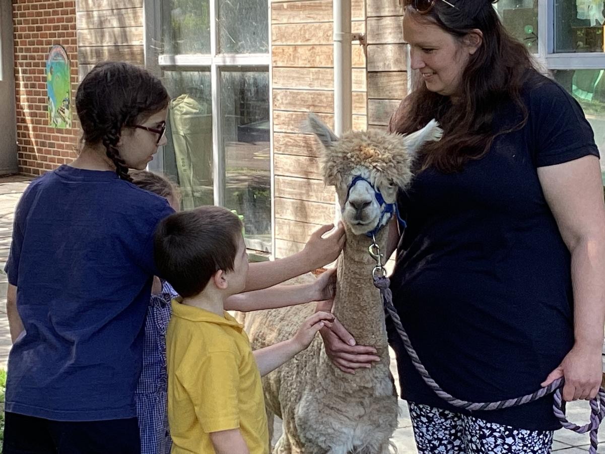 Alpaca Visit! 