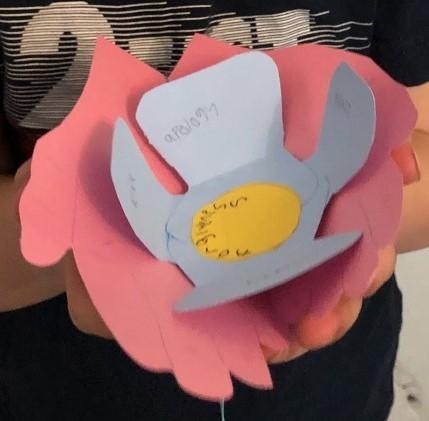Noah's Forgiveness Flower