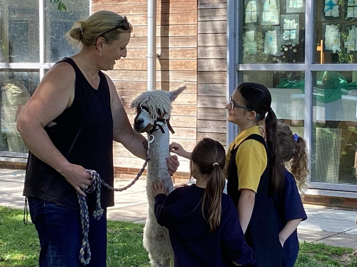 Alpaca Visit! 
