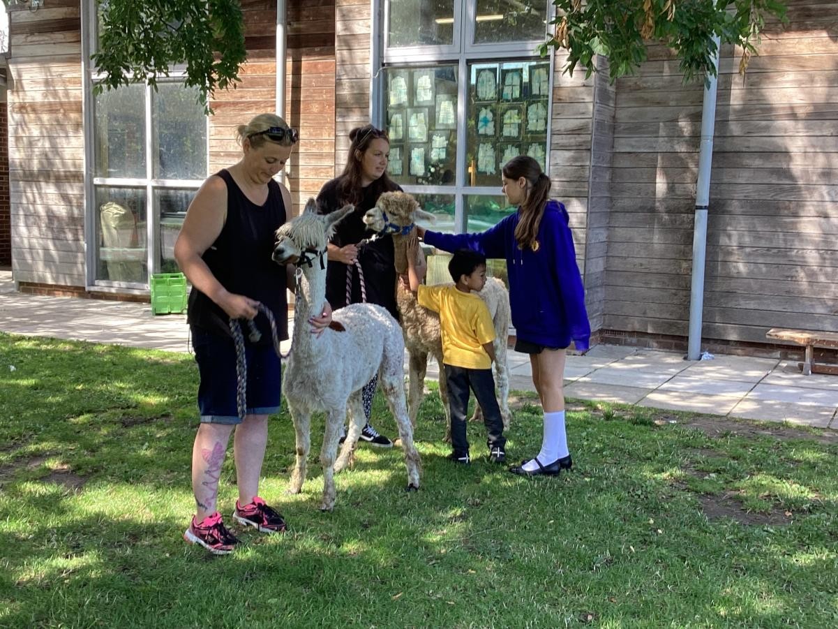 Alpaca Visit! 