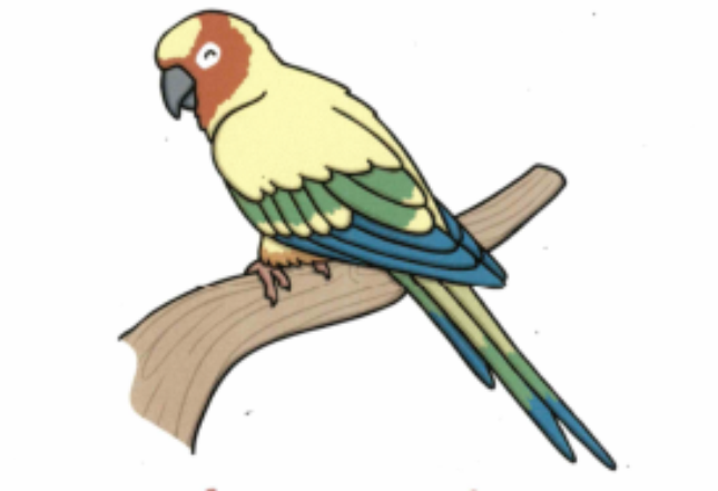 Persevering Parrot