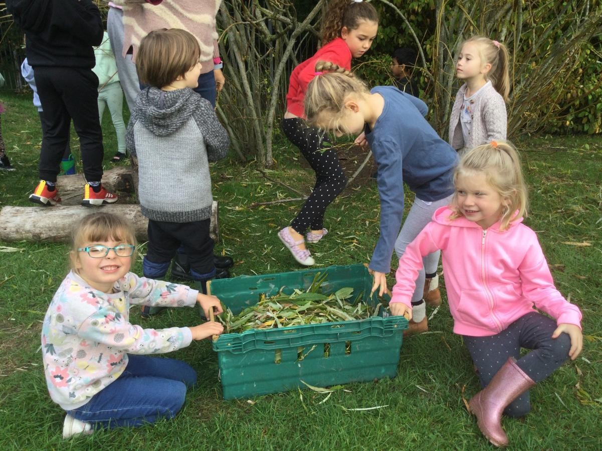 Our Laudato Si Day