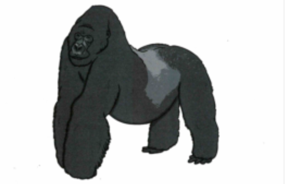 Go For It Gorilla