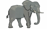 Editing Elephant