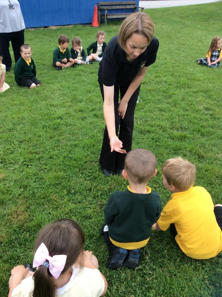 We watched the life cycle of caterpillars transform into butterflies. We then were able watch the butterflies fly away.