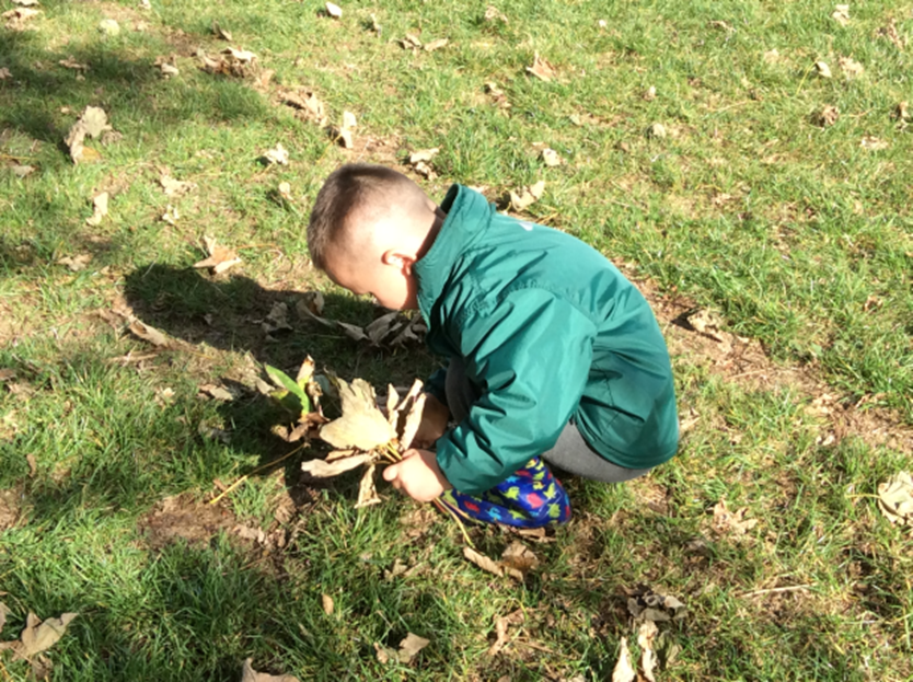 Collecting leaves on our school field for some natural art.