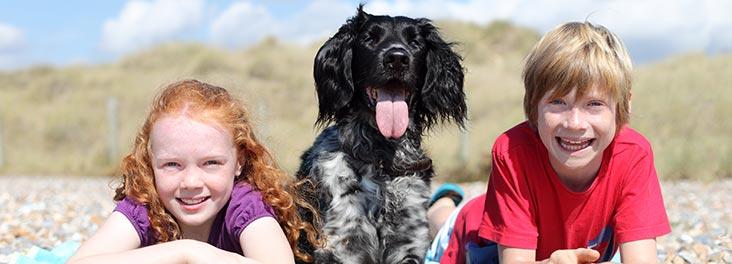 RSPCA Dogs and Children advice