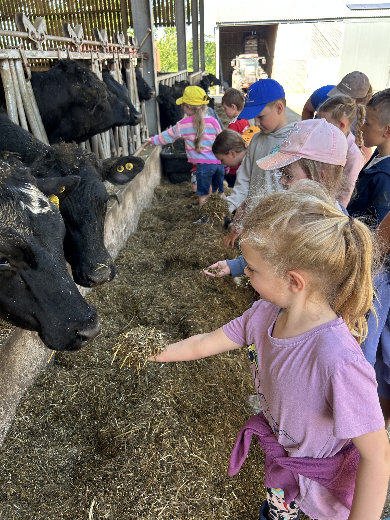 Our trip to Castlewood Farm 20/5/2025 - part 4