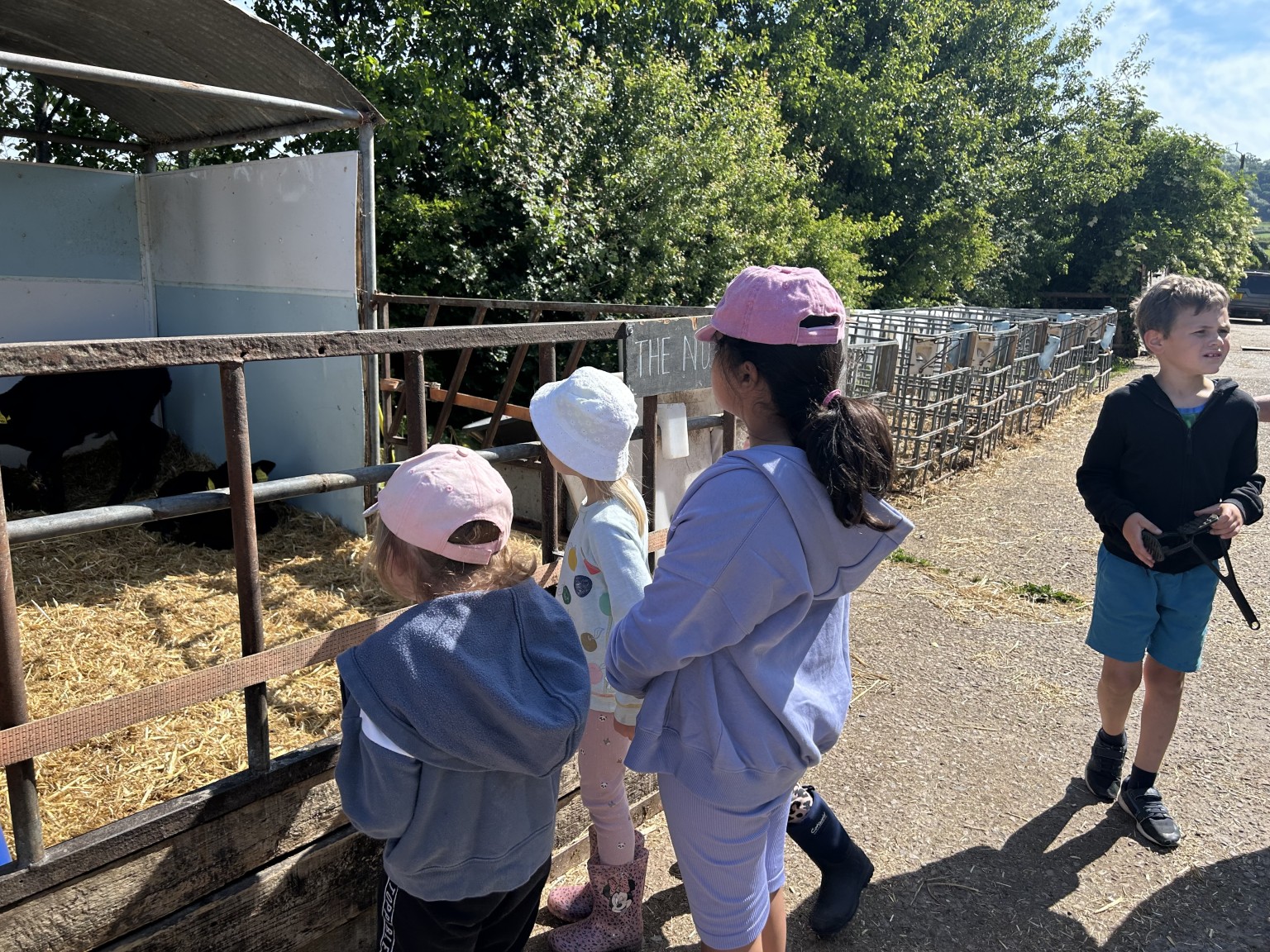 Our trip to Castlewood farm 20/5/25 - part 3
