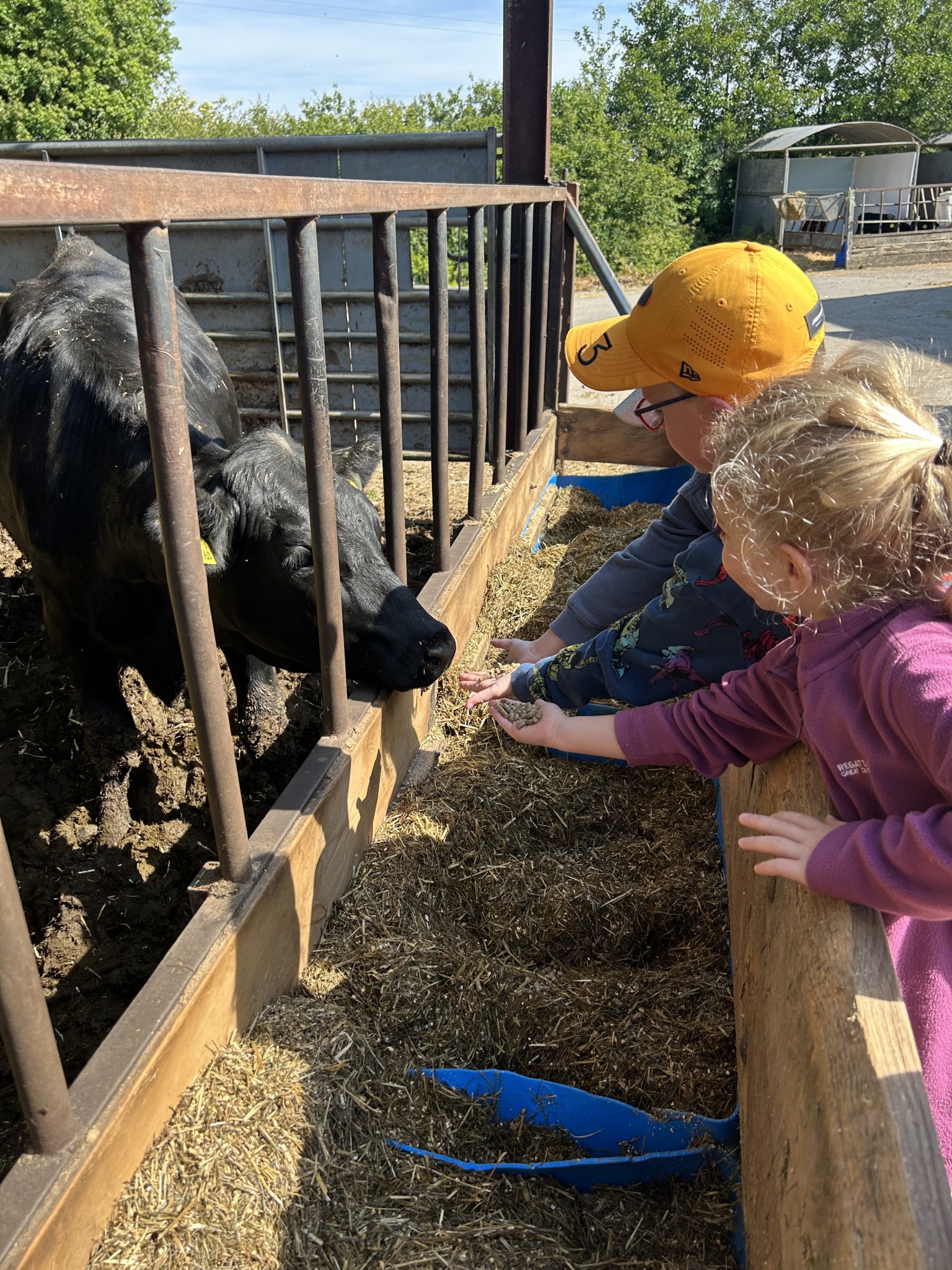 Our trip to Castlewood farm 20/5/25 - part 3