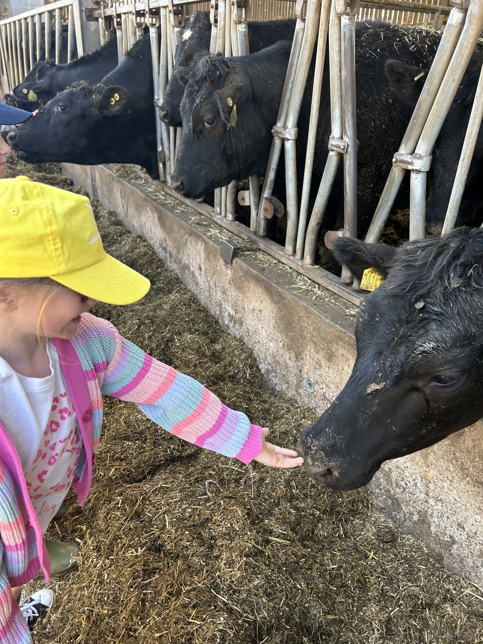 Our trip to Castlewood Farm 20/5/2025 - part 4