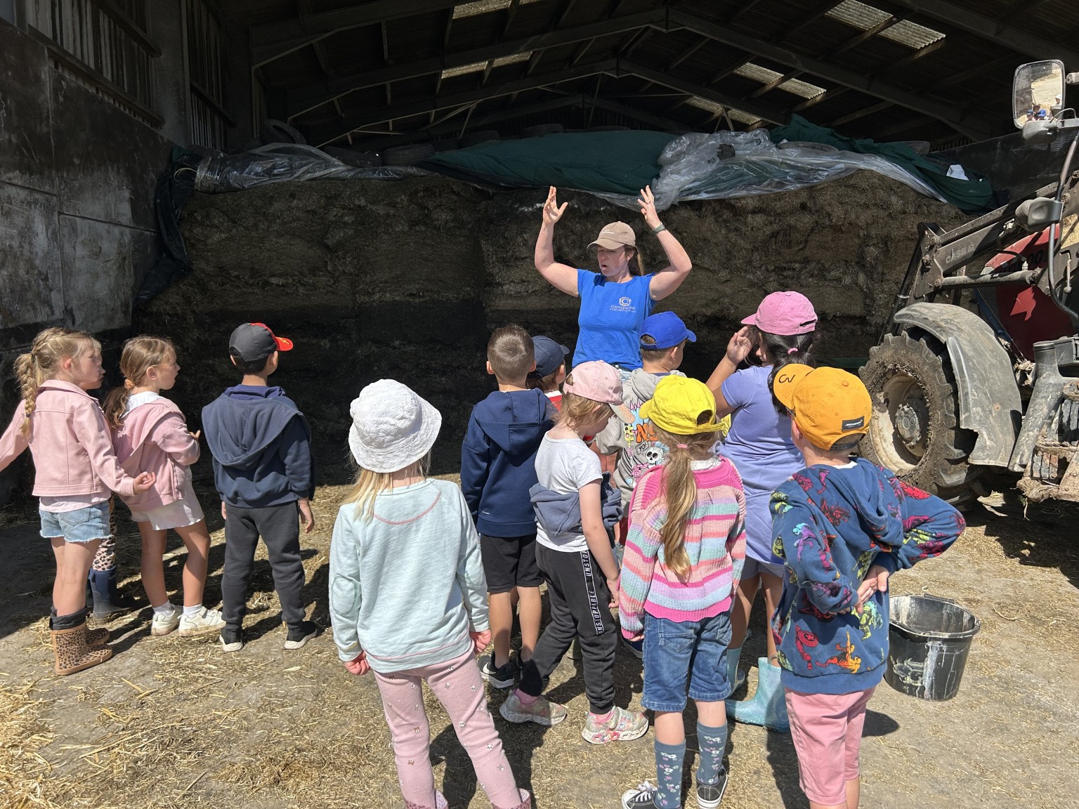 Our trip to Castlewood Farm 20/5/2025 - part 4