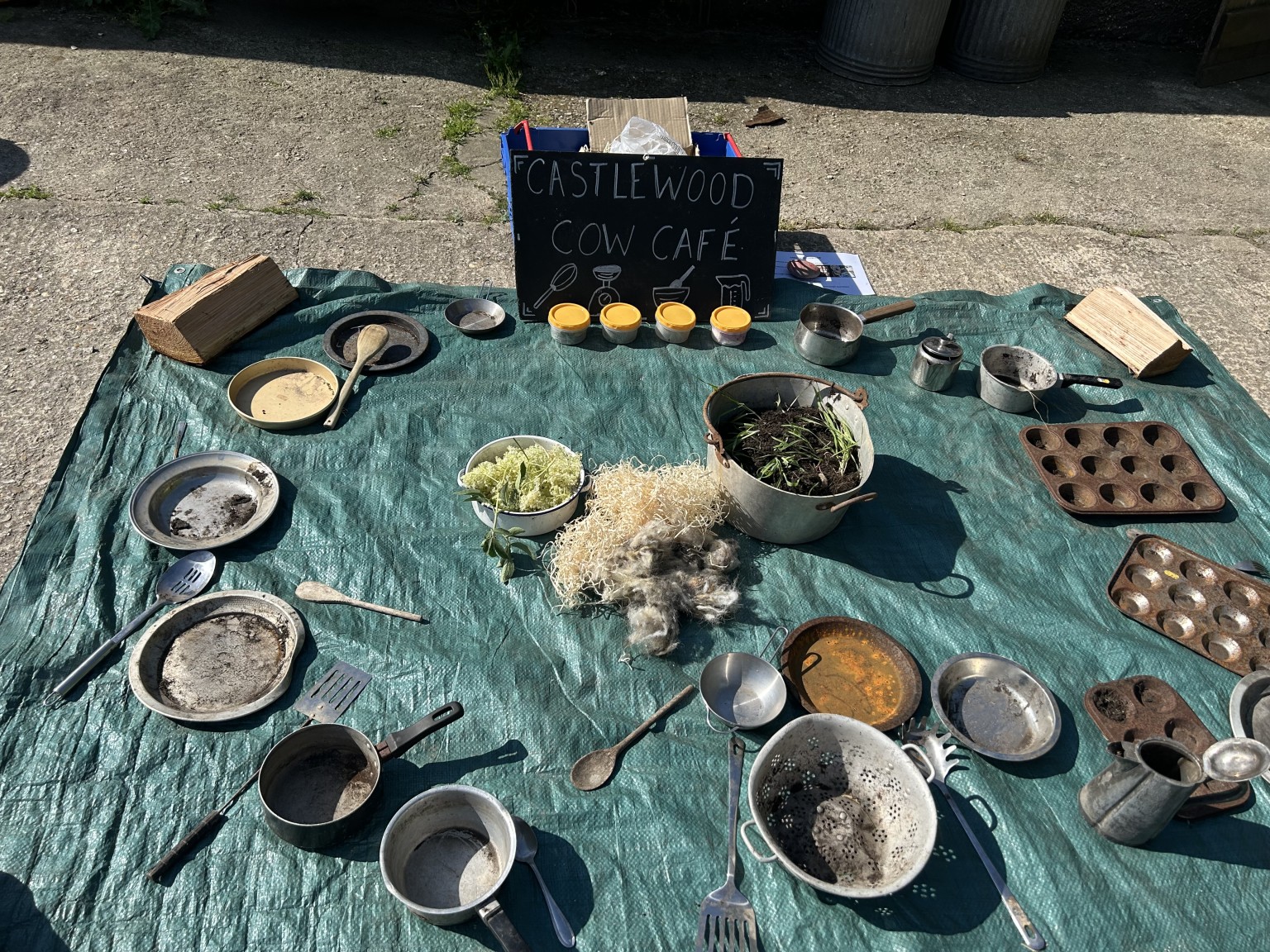 Our trip to Castlewood farm 20/5/25 - part 2