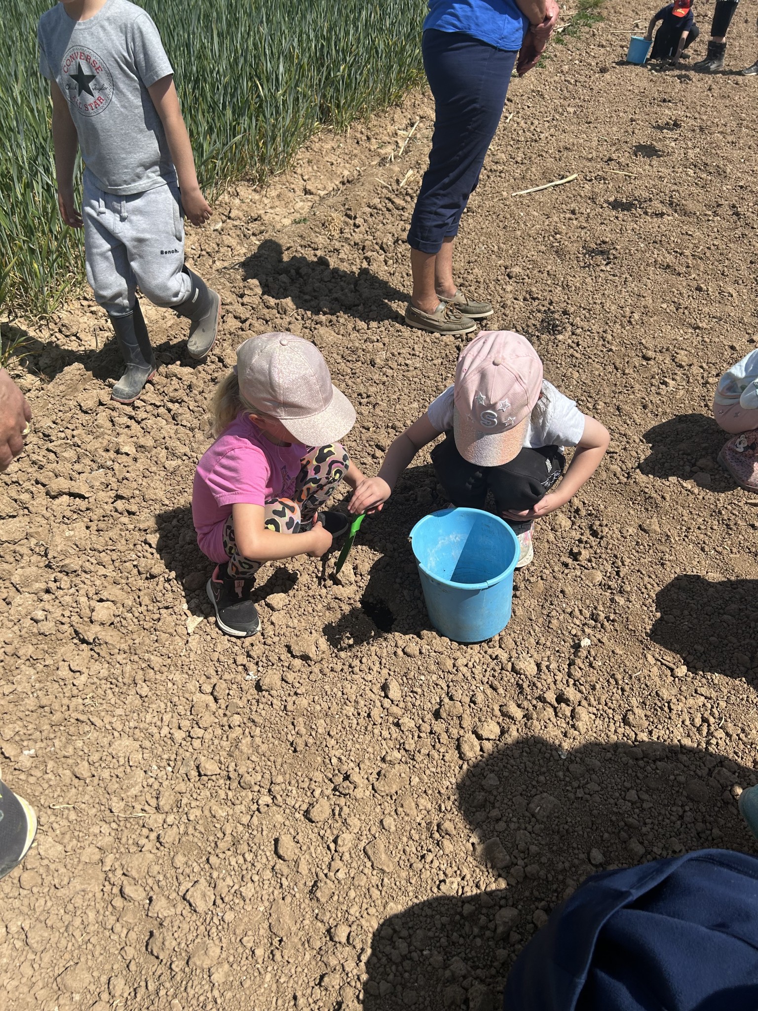 Our trip to Castlewood farm 20/5/2025 - part 9