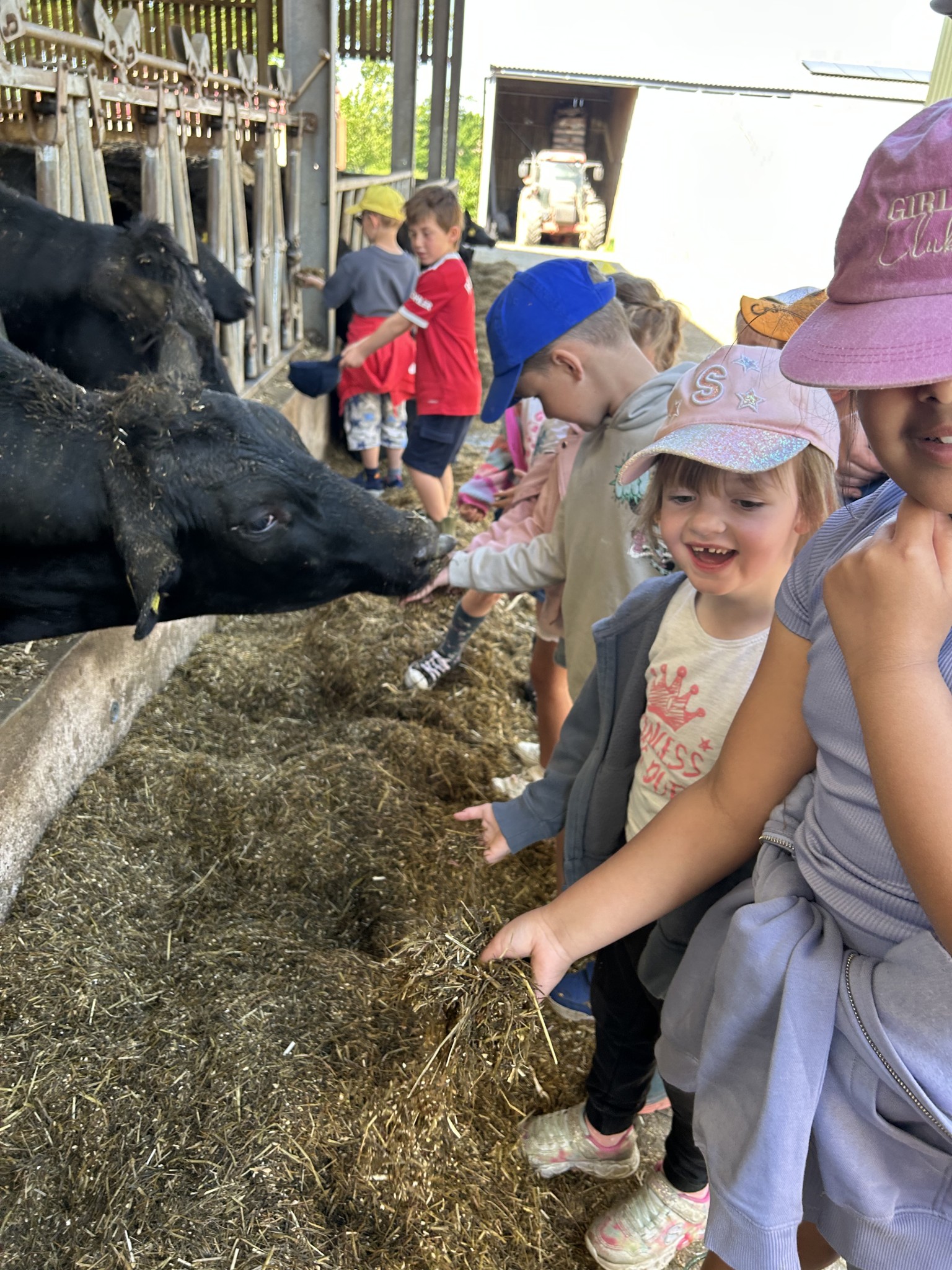 Our trip to Castlewood Farm 20/5/2025 - part 4