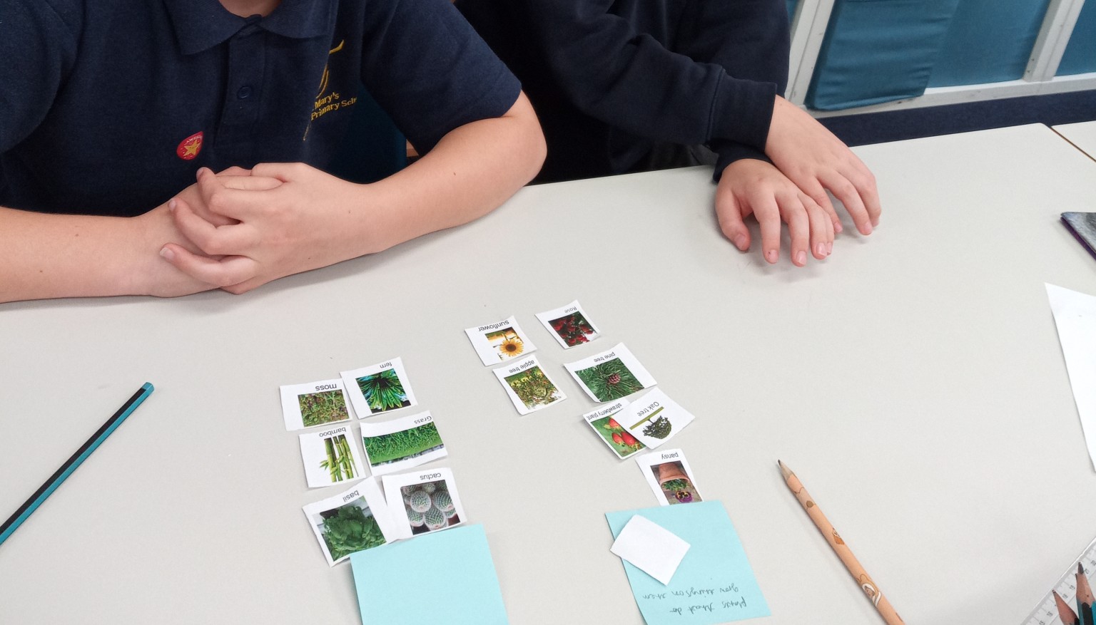 sorting