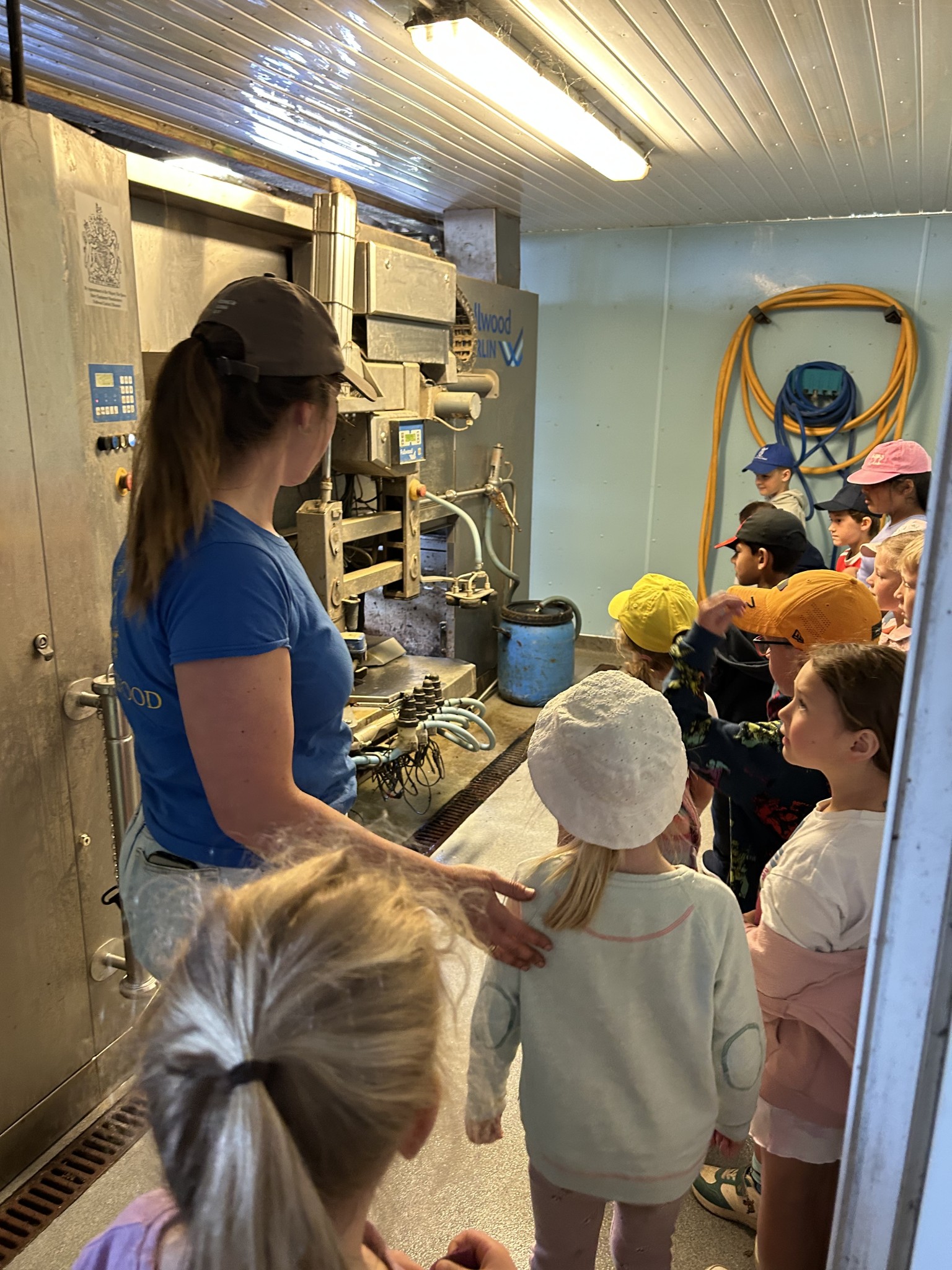 Our trip to Castlewood Farm 20/5/2025 - part 4
