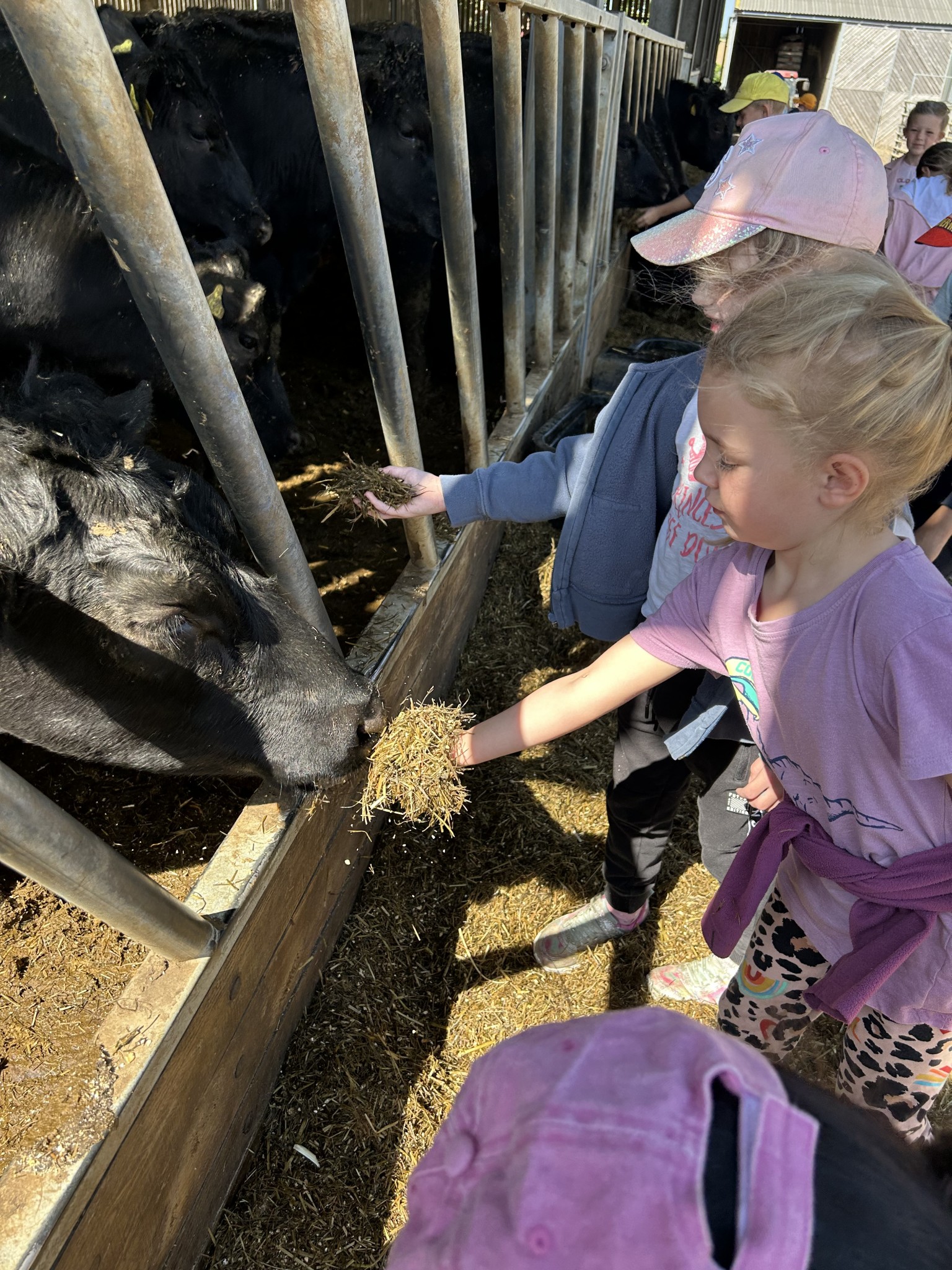 Our trip to Castlewood farm 20/5/25 - part 3