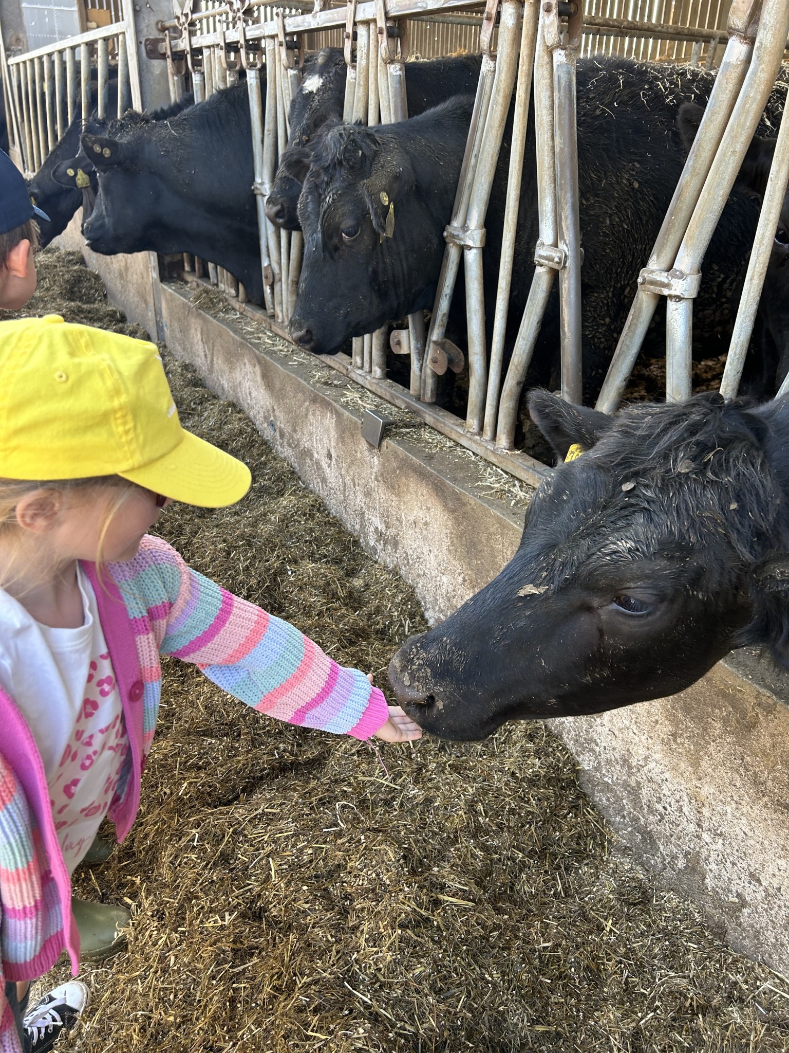 Our trip to Castlewood Farm 20/5/2025 - part 4