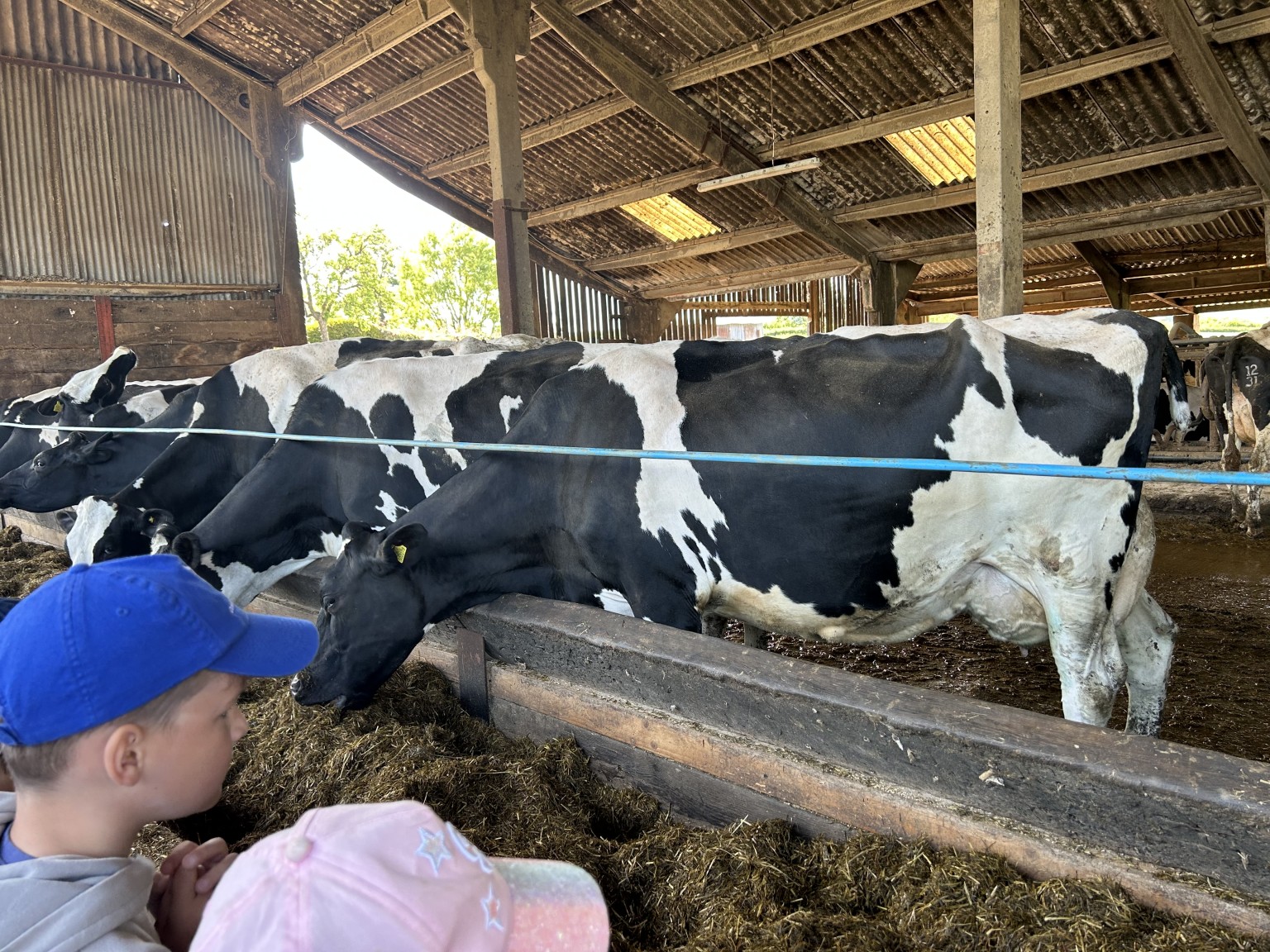 Our trip to Castlewood farm 20/5/25 - part 2
