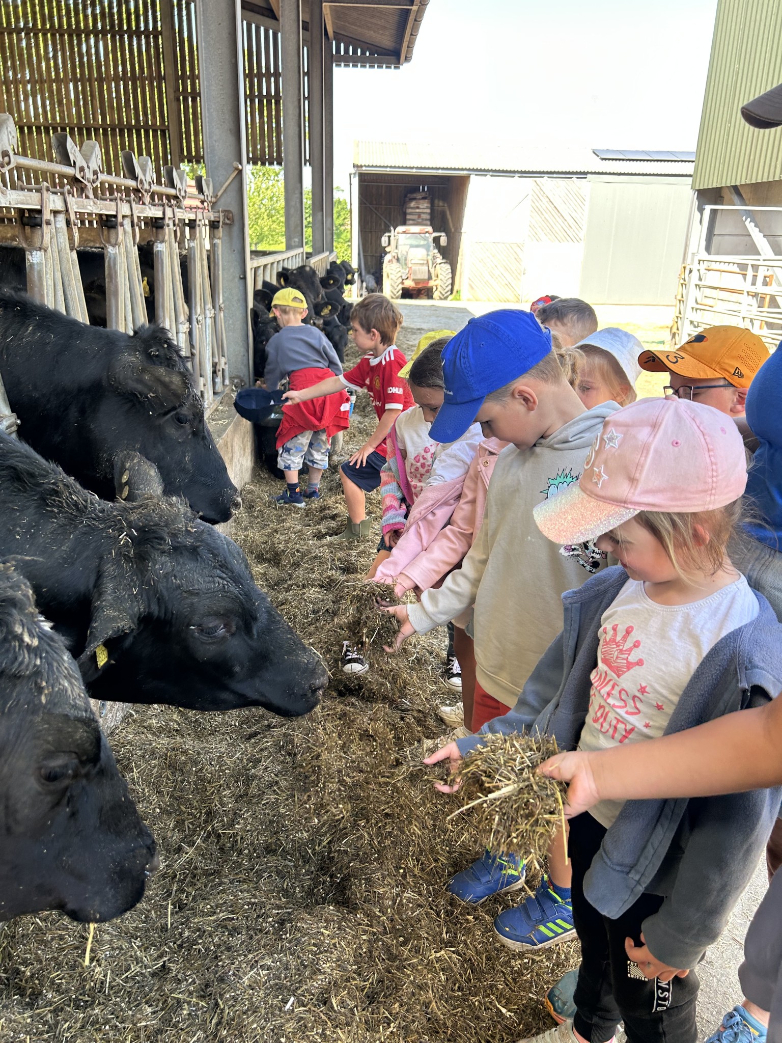 Our trip to Castlewood Farm 20/5/2025 - part 4
