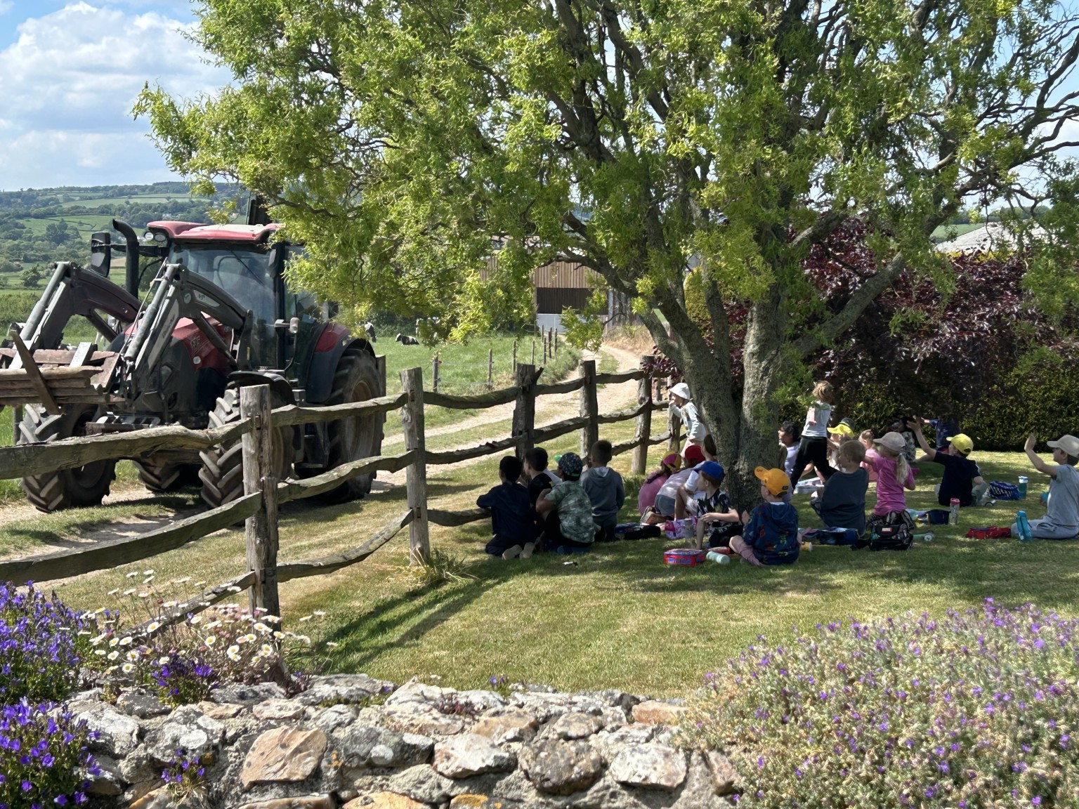 Our trip to Castlewood farm 20/5/2025 - part 8
