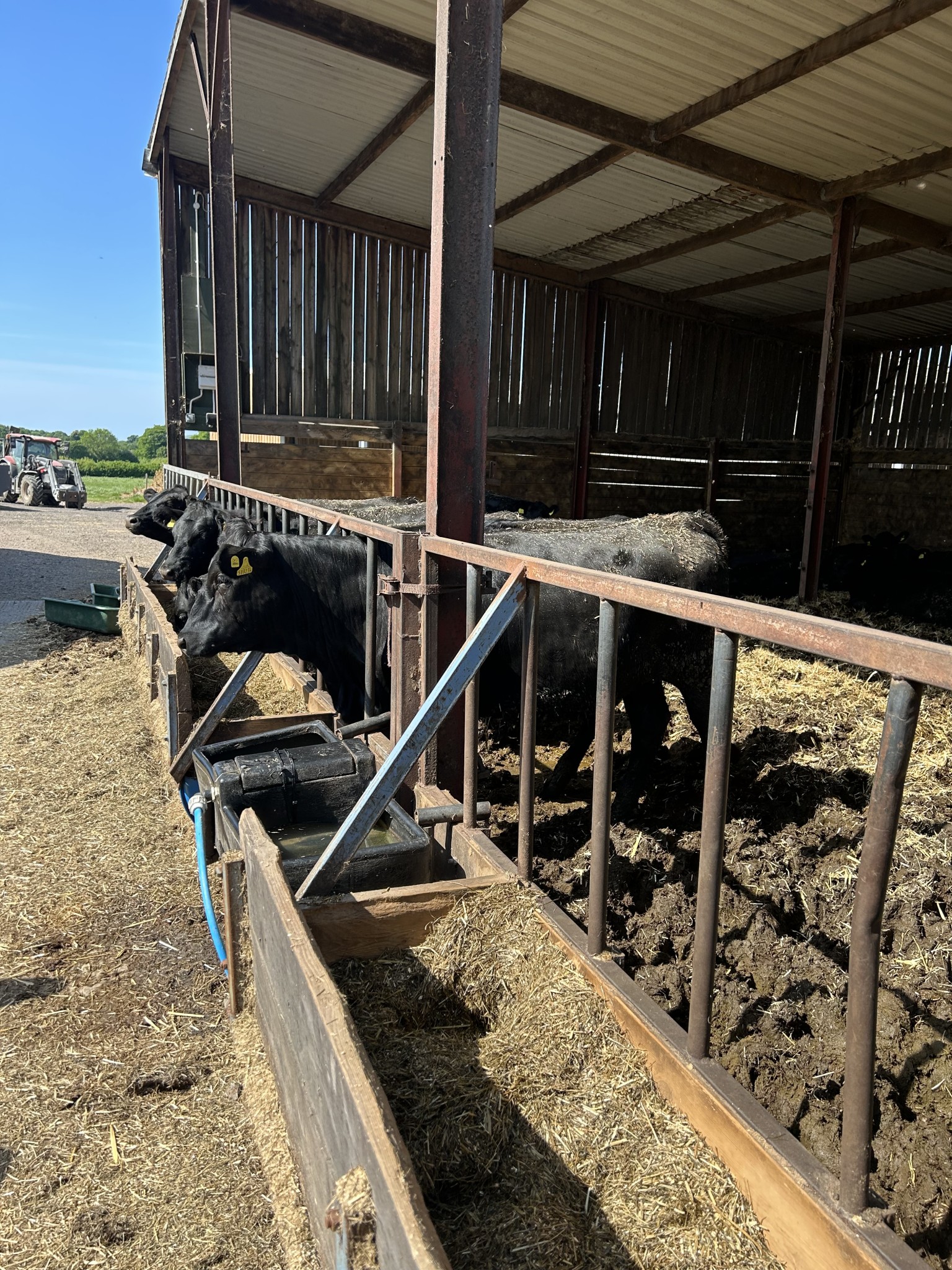 Our trip to Castlewood farm 20/5/25 - part 3