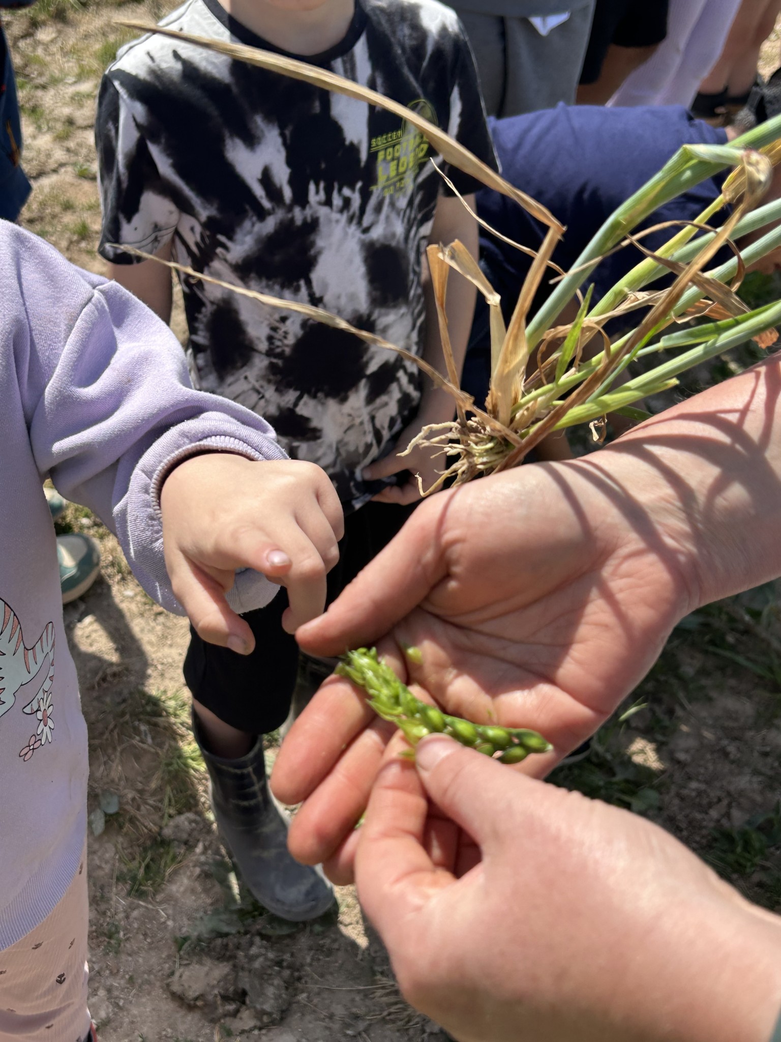Our trip to Castlewood farm 20/5/2025 - part 9