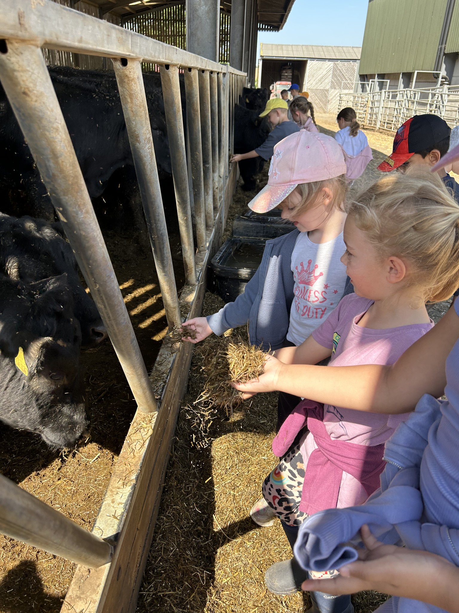 Our trip to Castlewood farm 20/5/25 - part 3