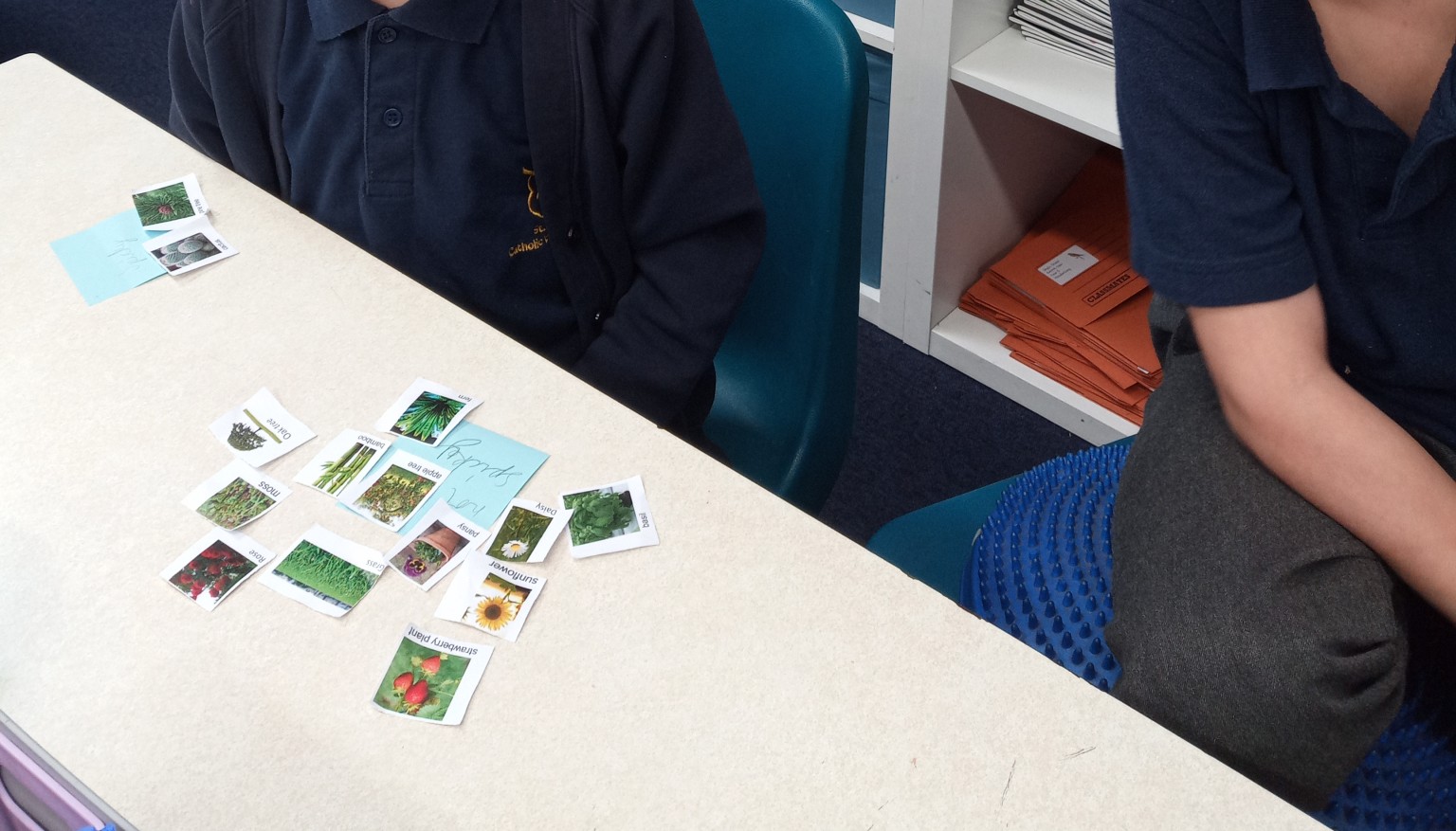sorting