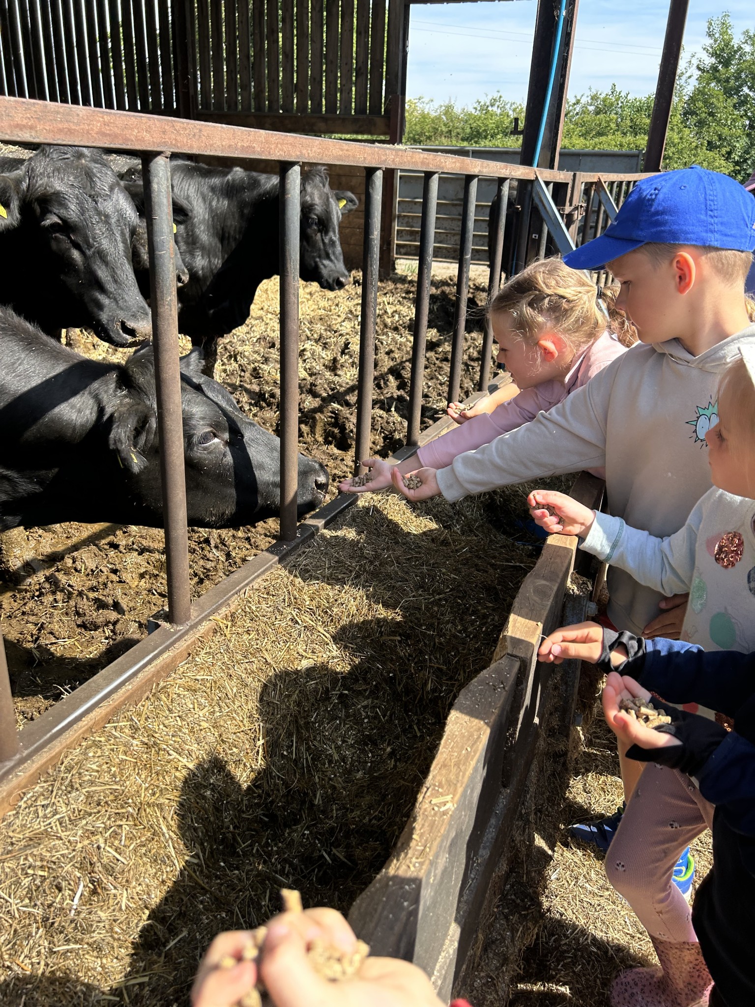 Our trip to Castlewood farm 20/5/25 - part 3