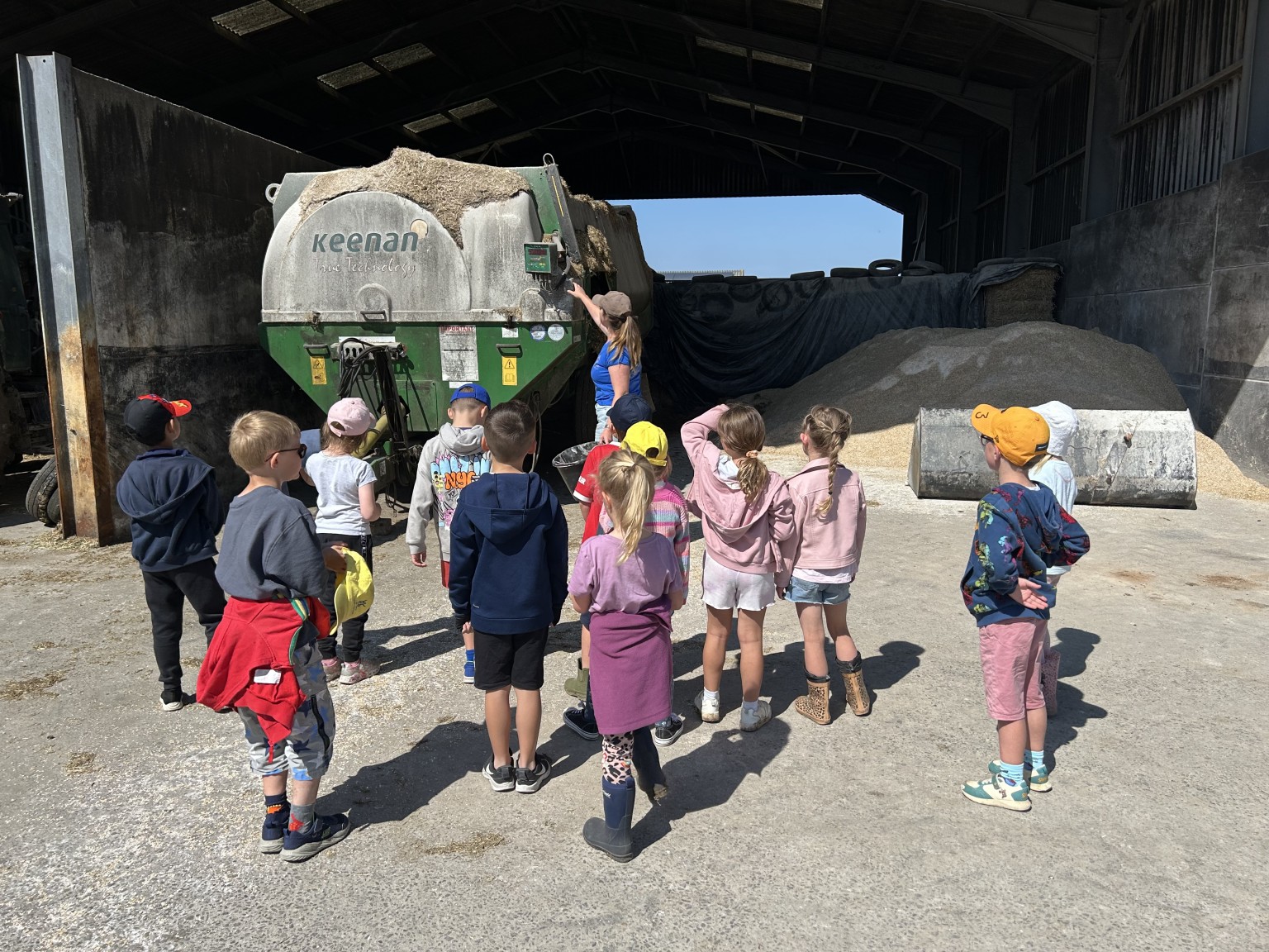 Our trip to Castlewood Farm 20/5/2025 - part 4