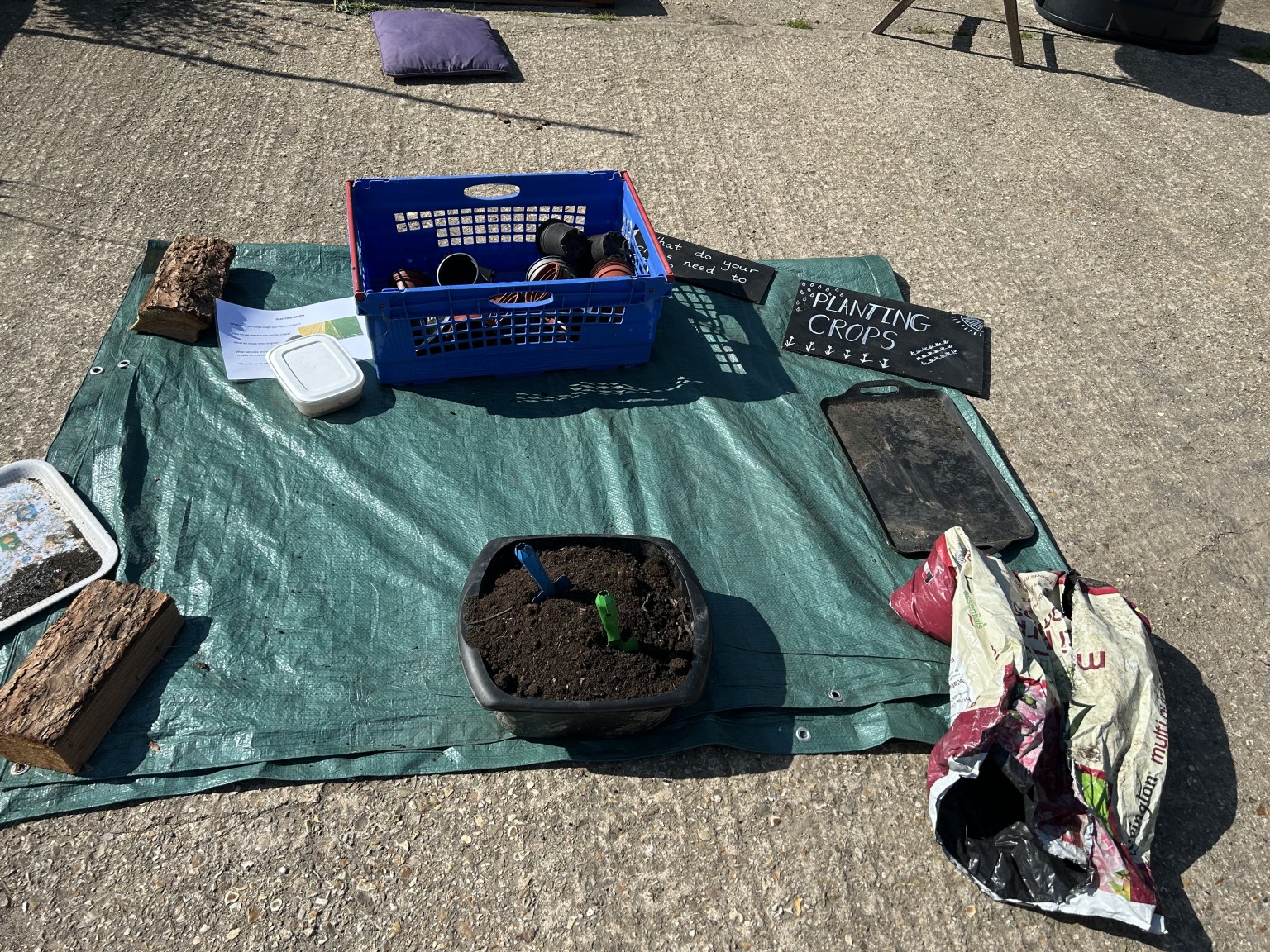 Our trip to Castlewood farm 20/5/25 - part 2